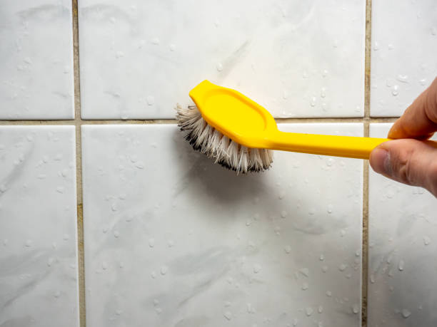 Best Affordable Mold Removal  in Nacogdoches, TX