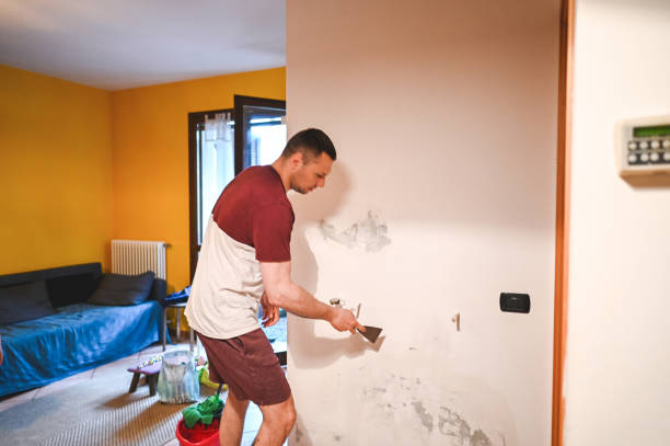 Office Mold Removal Services in Nacogdoches, TX